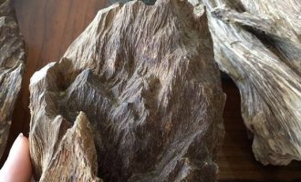 Agarwood is Primarily About the Scent—Why Does It Smell So Good?﻿